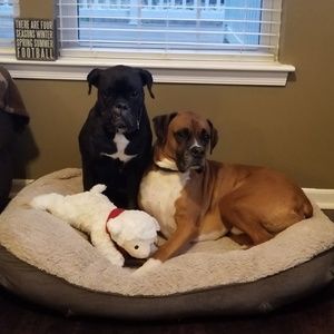 Meet your Posher, Holly